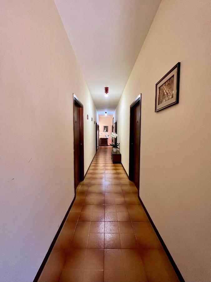 Hotel Ca' Bianca Da Paolino 미사노아드리아티코 외부 사진
